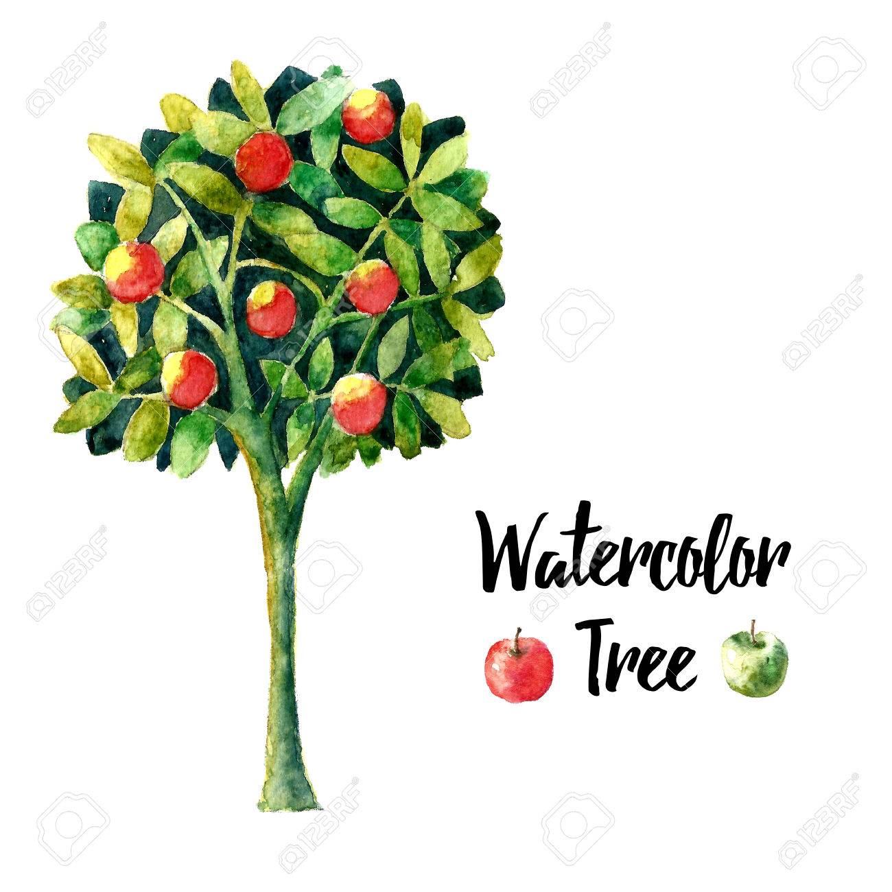 リアルなブラシ水彩リンゴの木 花柄のデザインの花柄要素リンゴの木 リアルな水彩画 手描きイラストのリンゴの木 ベクトル のイラスト素材 ベクタ Image