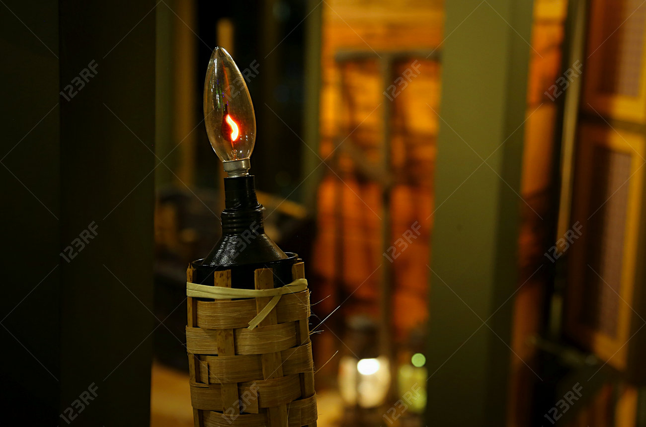 etiam-dictum-ipsum-a-felis