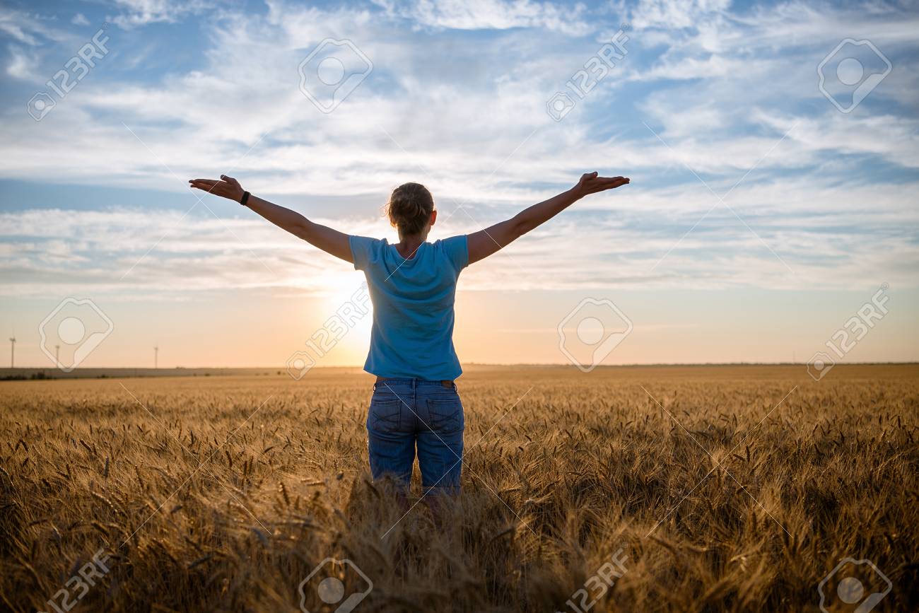 Femme Heureuse Gratuit Profiter De La Nature Et De La Liberte En Plein Air Femme Avec Les Bras Tendus Dans Un Champ De Ble Dans Le Coucher Du Soleil Banque D Images Femme Heureuse Gratuit Profiter De La Nature Et De La Liberte En Plein Air Femme Avec Les Bras Tendus Dans Un Champ De Ble Dans Le Coucher Du Soleil Banque D Images