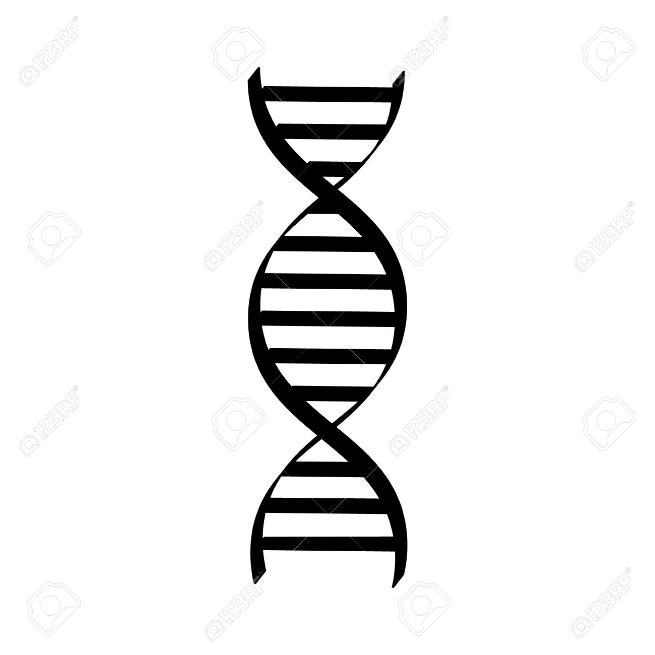 Vector Illustration Dna Spiral Black Silhouette Dna Symbols Royalty Free Cliparts Vectors And Stock Illustration Image