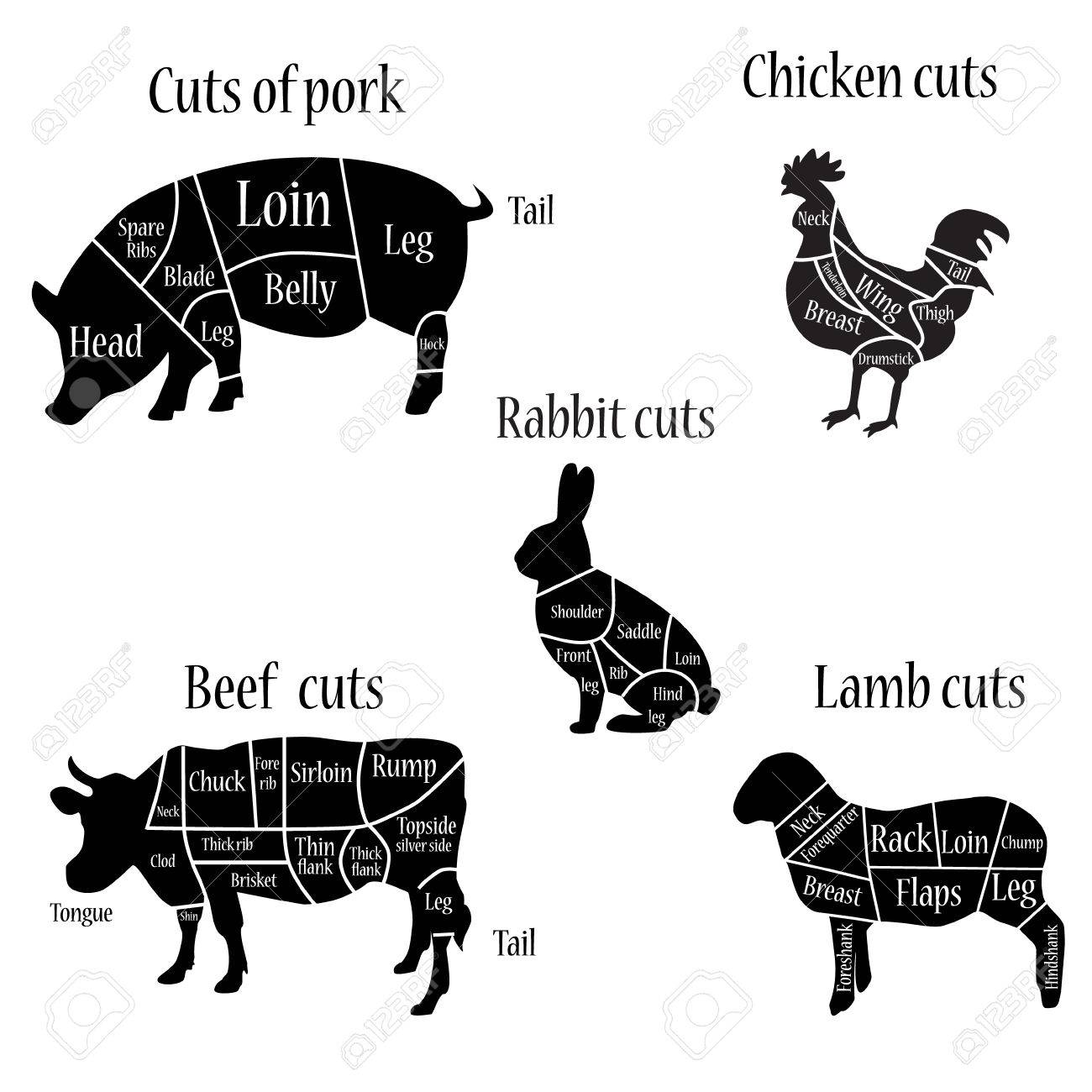 Vector illustration lamb, chicken, rabbit, cow and pork cuts diagramm or chart. Chicken, pork, cow black silhouette. Chicken, cow, pork cuts butcher chart. - 51458404 Vector illustration lamb, chicken, rabbit, cow and pork cuts diagramm or chart. Chicken, pork, cow black silhouette. Chicken, cow, pork cuts butcher chart. - 51458404