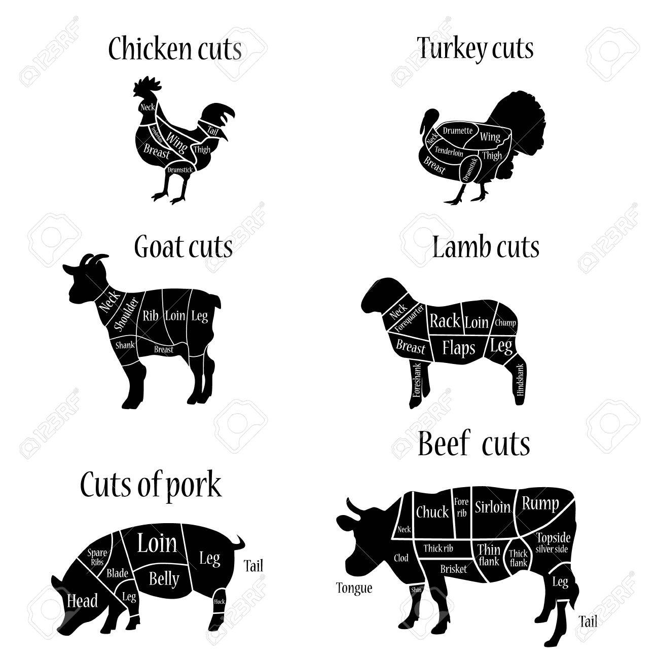 raster illustration turkey lamb goat chicken cow and pork goat chart