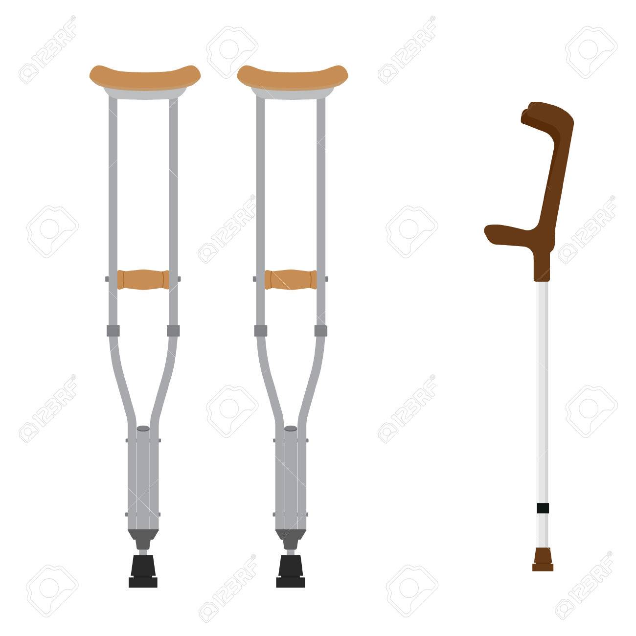 pair of walking sticks