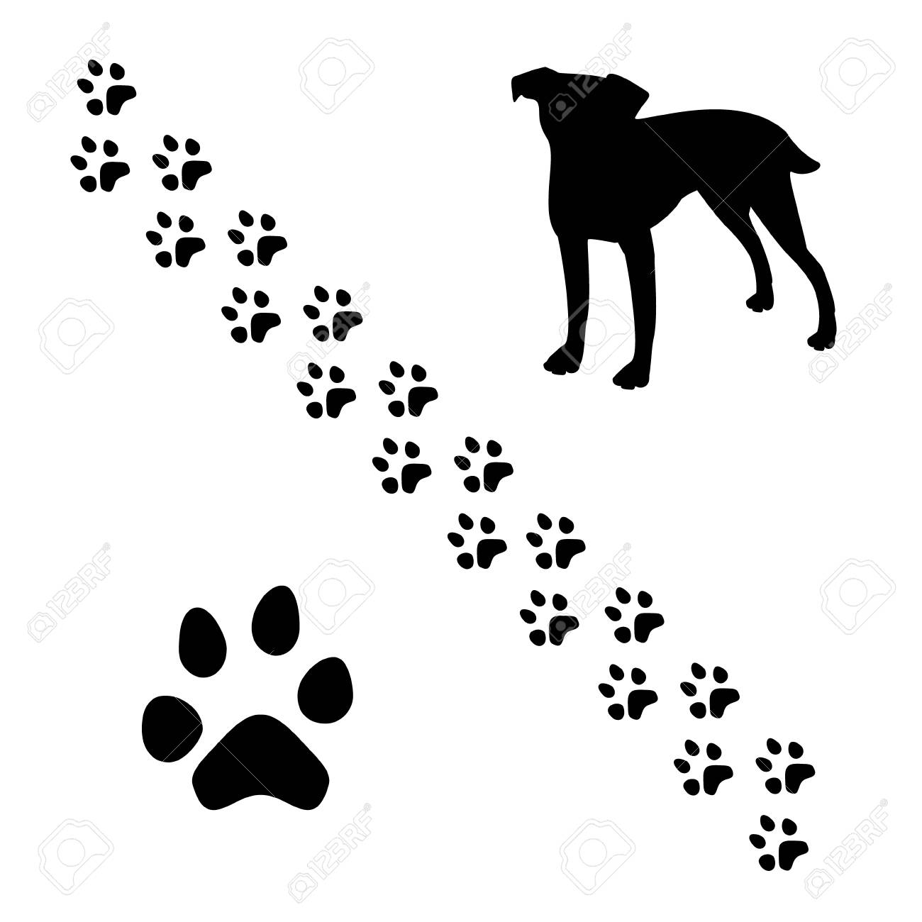 犬と足跡のラスター図の黒いシルエット 犬の足します 犬の足跡トラック トレイル の写真素材 画像素材 Image