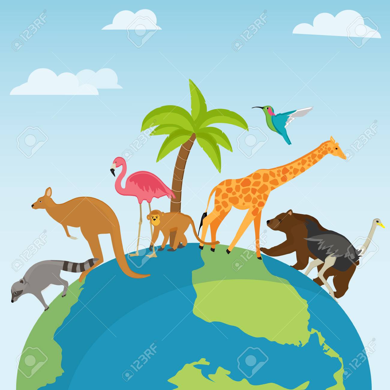 2019 year look- Planet Animal 2019 year look- Planet Animal