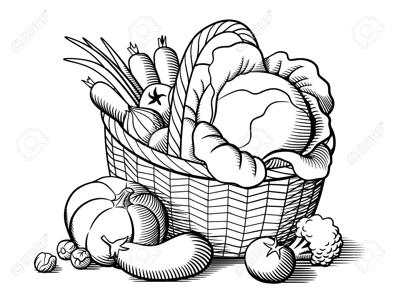 Basket With Vegetables. Stylized Black And White Vector Illustration.  Cabbage, Pumpkin, Eggplant, Tomatoes, Onion, Carrots, Broccoli, Brussels  Sprouts Royalty Free SVG, Cliparts, Vectors, and Stock Illustration. Image  64493004., image size:1300x974