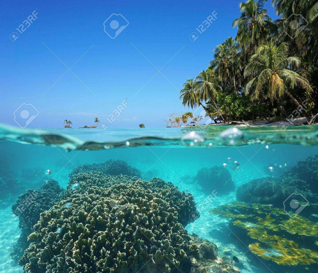 スプリット イメージと喫水線とサンゴの上熱帯海岸にヤシの木と海の表面の下でカリブ海の水中 Zapatilla 諸島パナマ の写真素材 画像素材 Image