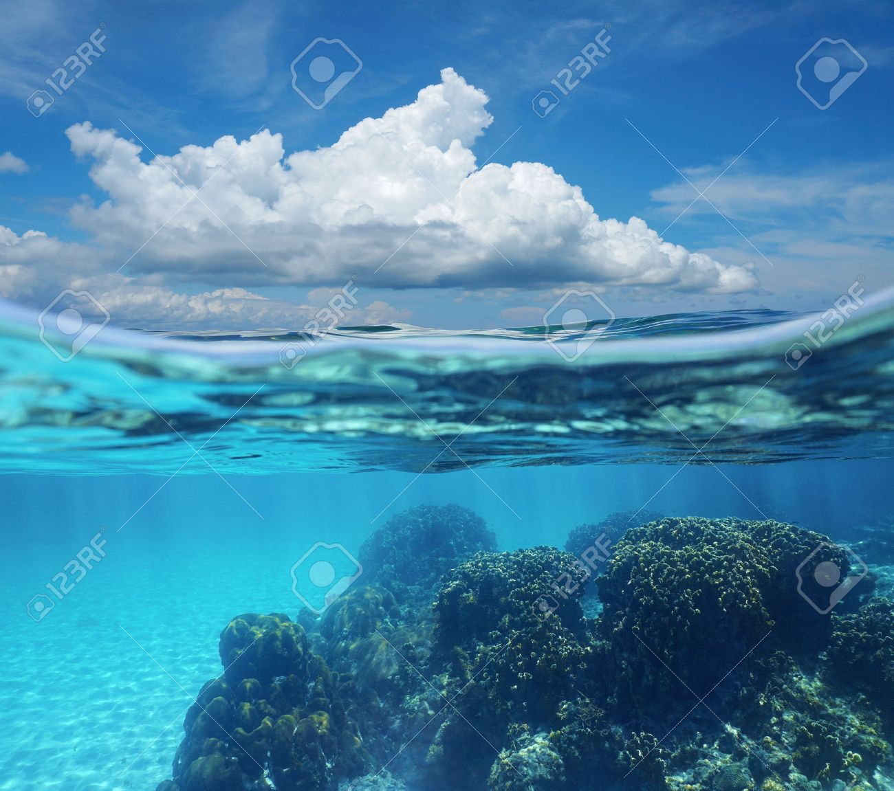 43253678-top-half-with-blue-sky-and-clou