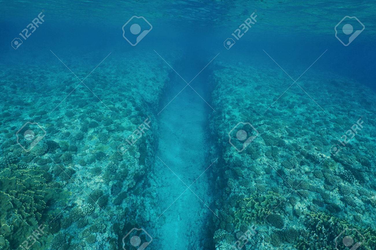 Natural Trench Underwater Sea Into The Fore Reef Slope With Corals