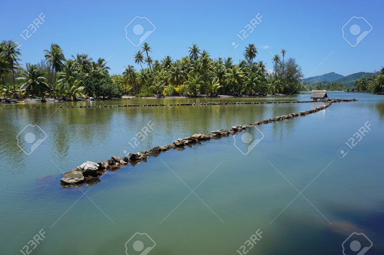 湖と海 フアヒネ島 フランス領ポリネシア 南太平洋の間チャネルの石で作られて ポリネシアの伝統的な古い魚トラップ の写真素材 画像素材 Image