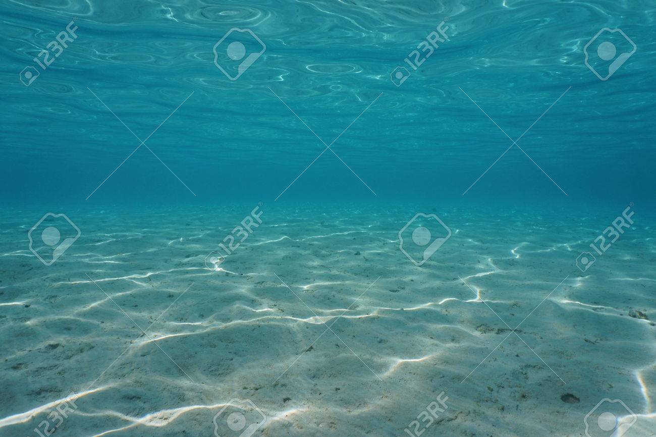 Sandy Bottom And Sea Surface From Underwater In A Tropical Lagoon Stock Photo Picture And Royalty Free Image Image 77296161