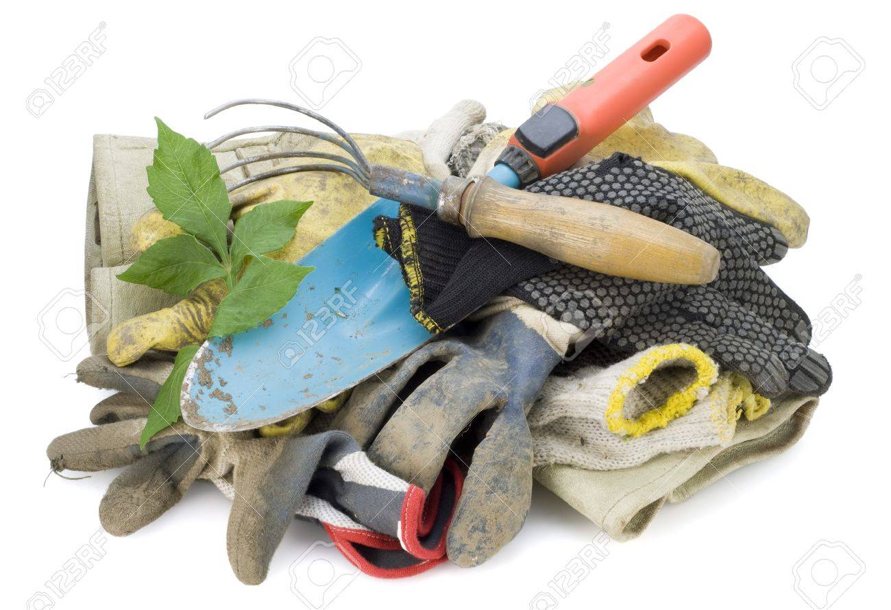 Scruffs Oficio Sin dedos Guantes de trabajo electricista-Elija Su Tamaño Scruffs Oficio Sin dedos Guantes de trabajo electricista-Elija Su Tamaño