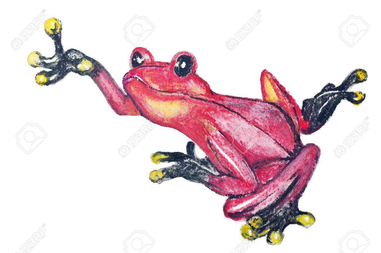 アメリカ南部分離 ホワイト ペーパー アートの背景に手作りの水彩画のイラストから赤い毒矢カエル の写真素材 画像素材 Image