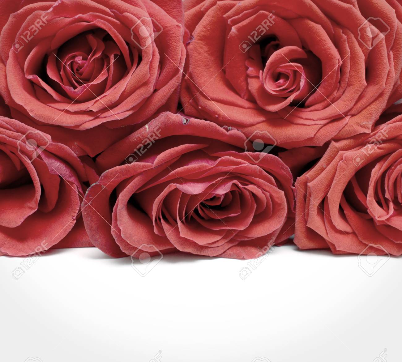 Bouquet De Fleurs Fanées Rouges