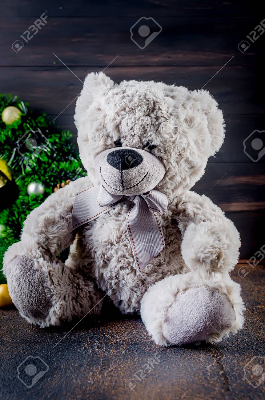 gray teddy