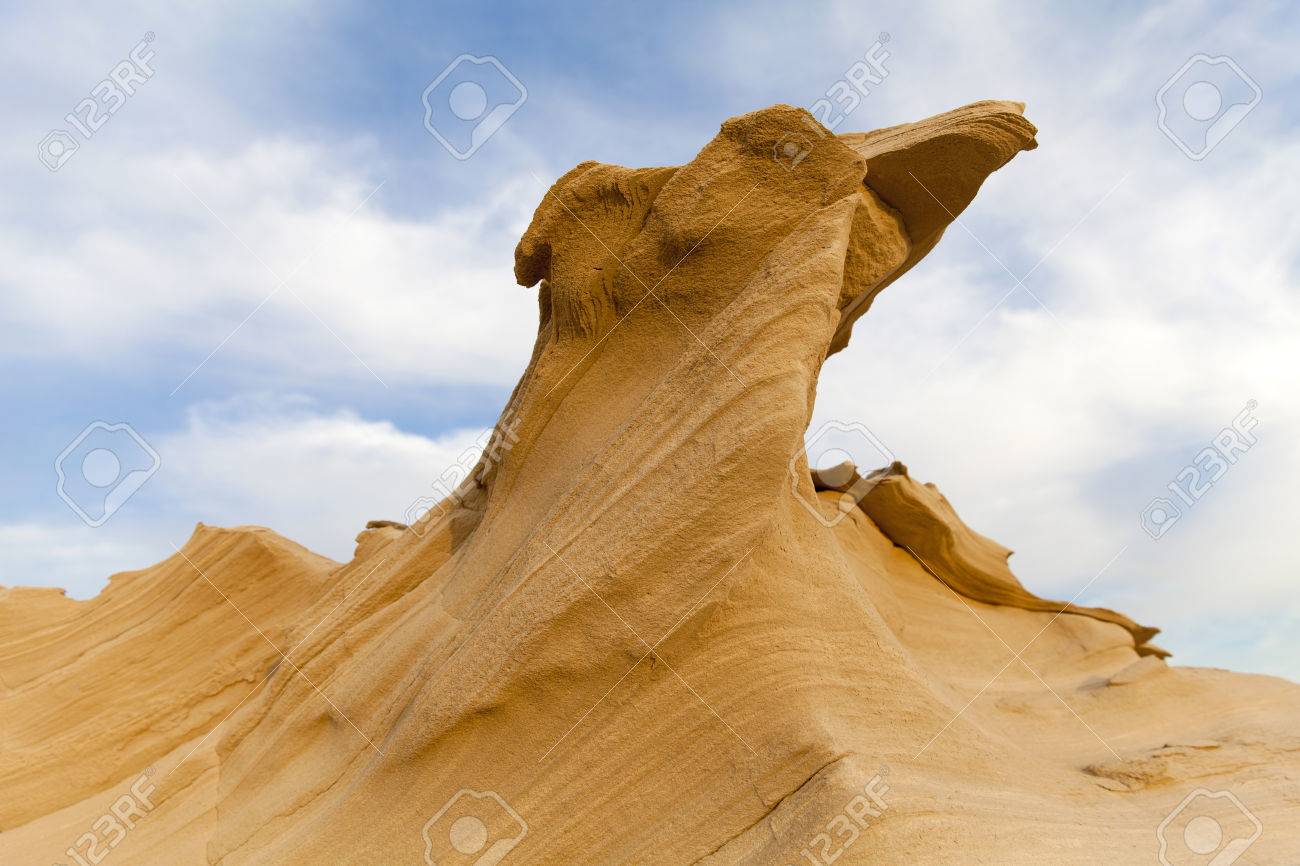 砂漠の石 【公式通販】