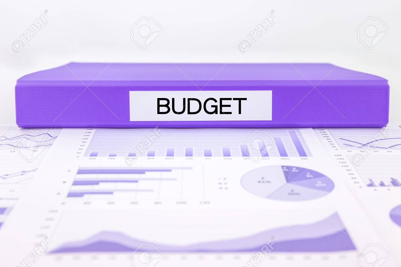 purple document binder with budget word place on graphs and charts