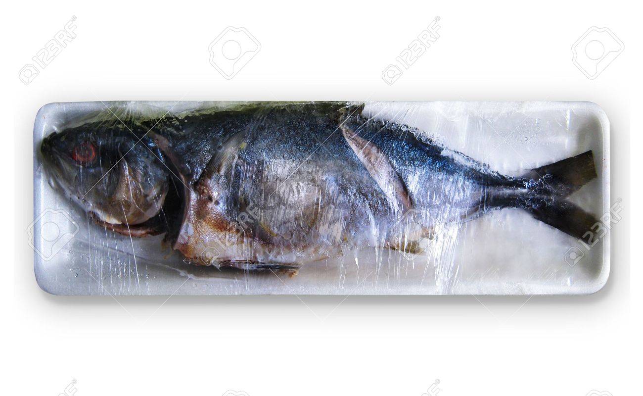 腐った魚 白の後リゾート の写真素材 画像素材 Image