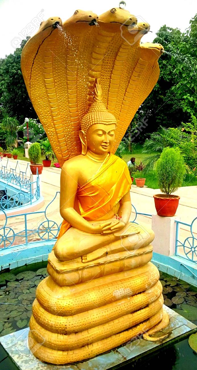 statue of lord buddha at sarnath in varanasi stock photo picture