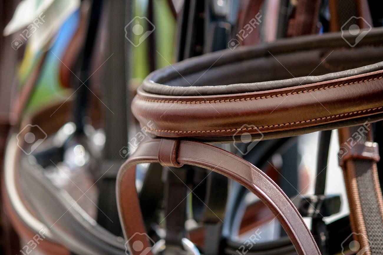 Close Up Of Horse Bridles On The Display Rack For Sale Stock Photo