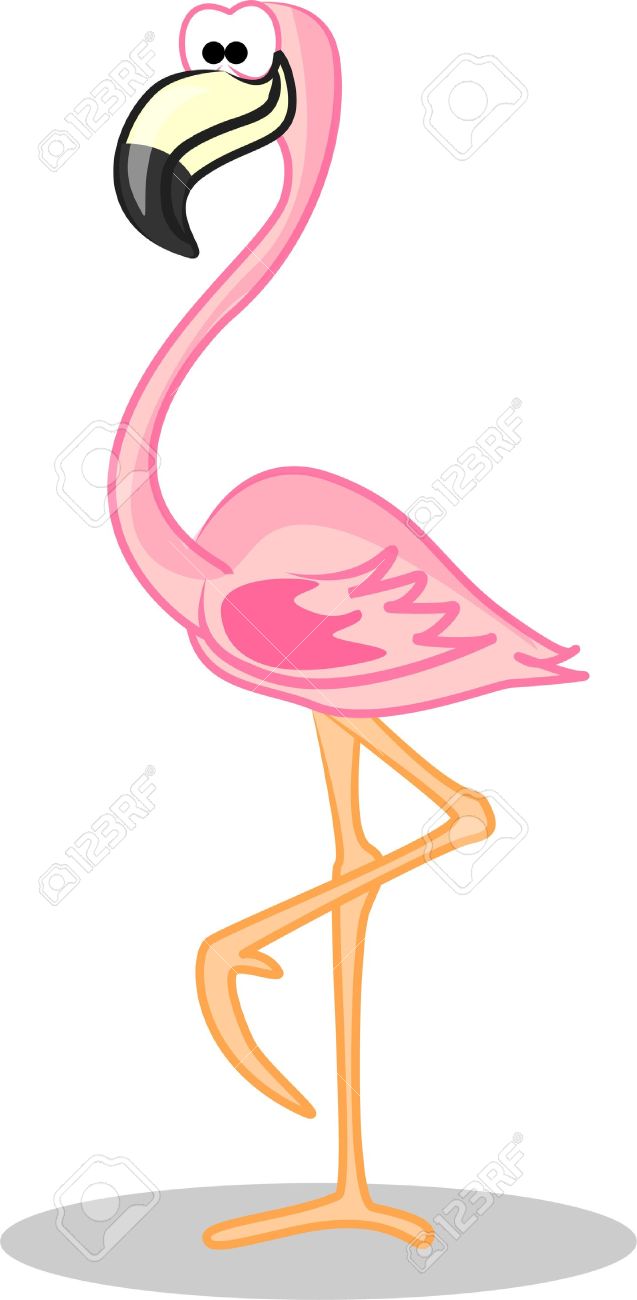 flamingos #3229504 | Clipart Library, image size:637x1300