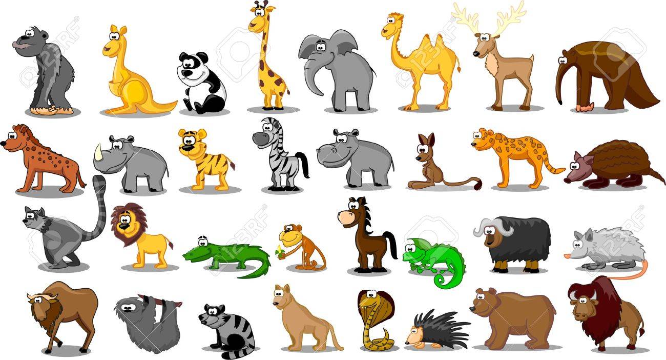 ライオン カンガルー キリン ゾウ ラクダ カモシカ カバ トラ シマウマ サイなどの動物の余分な大規模なセット のイラスト素材 ベクタ Image
