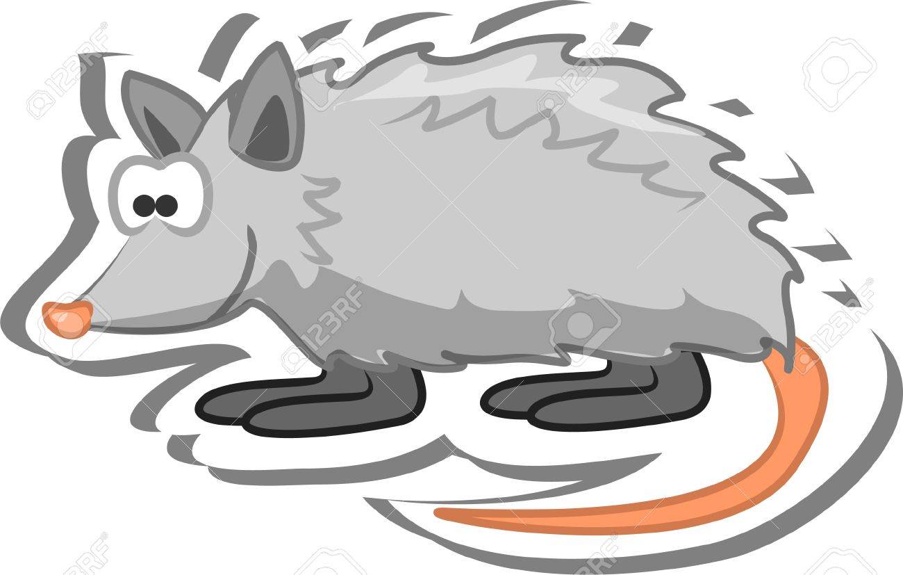 Cartoon Opossum Royalty Free Cliparts Vectors And Stock Illustration Image 13557294 Opossum grey spotted cute cartoon animal icon on white background, vector illustration. cartoon opossum