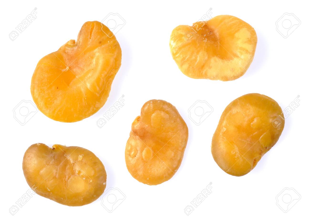 etiam-dictum-ipsum-a-felis