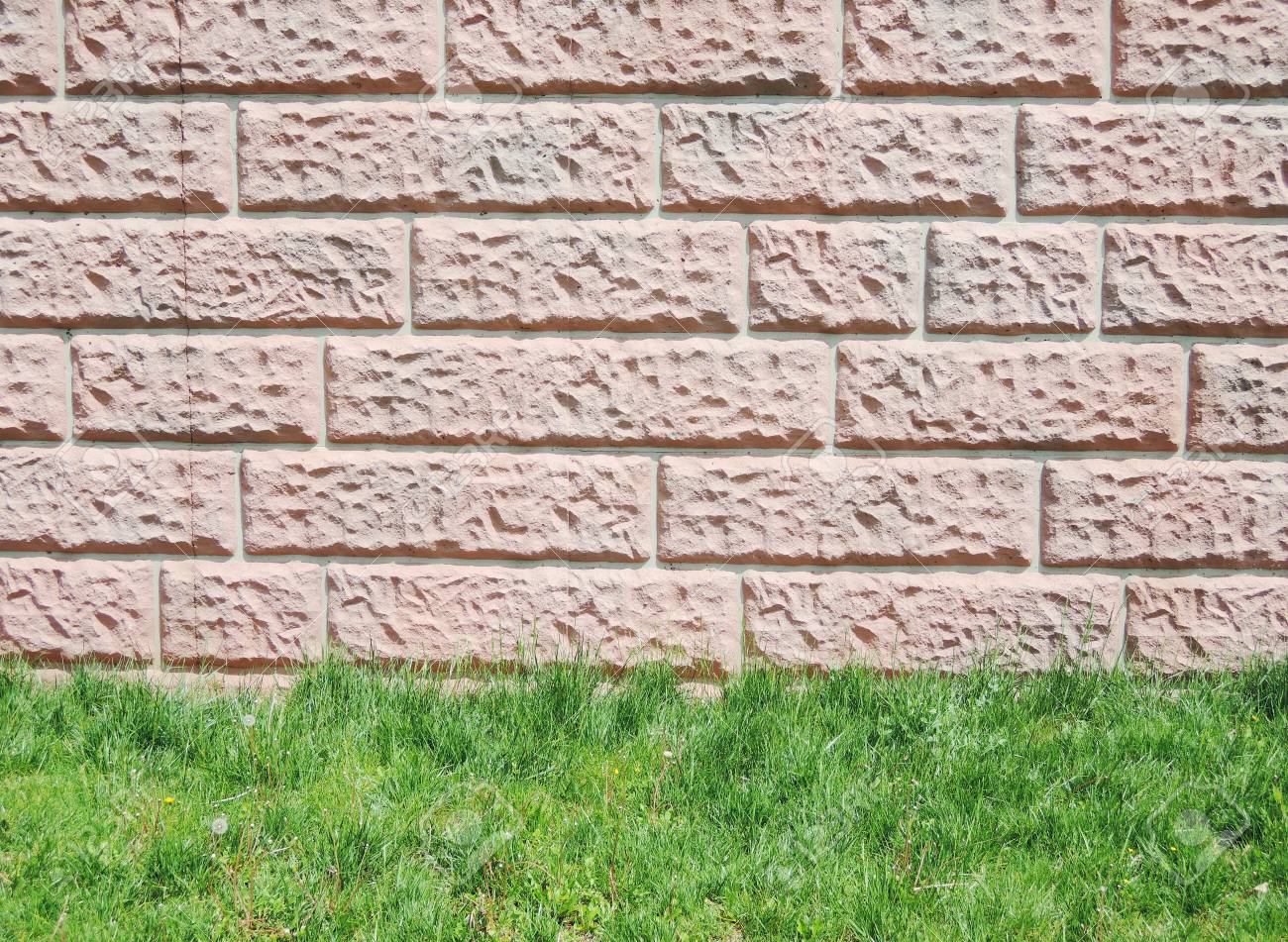 草の床とレンガの壁 の写真素材 画像素材 Image