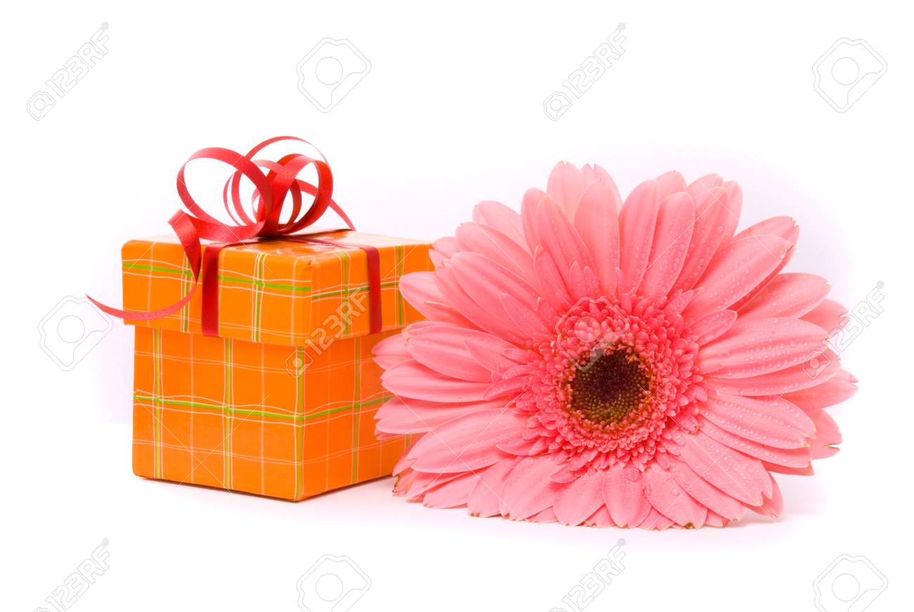 free gerber gift box