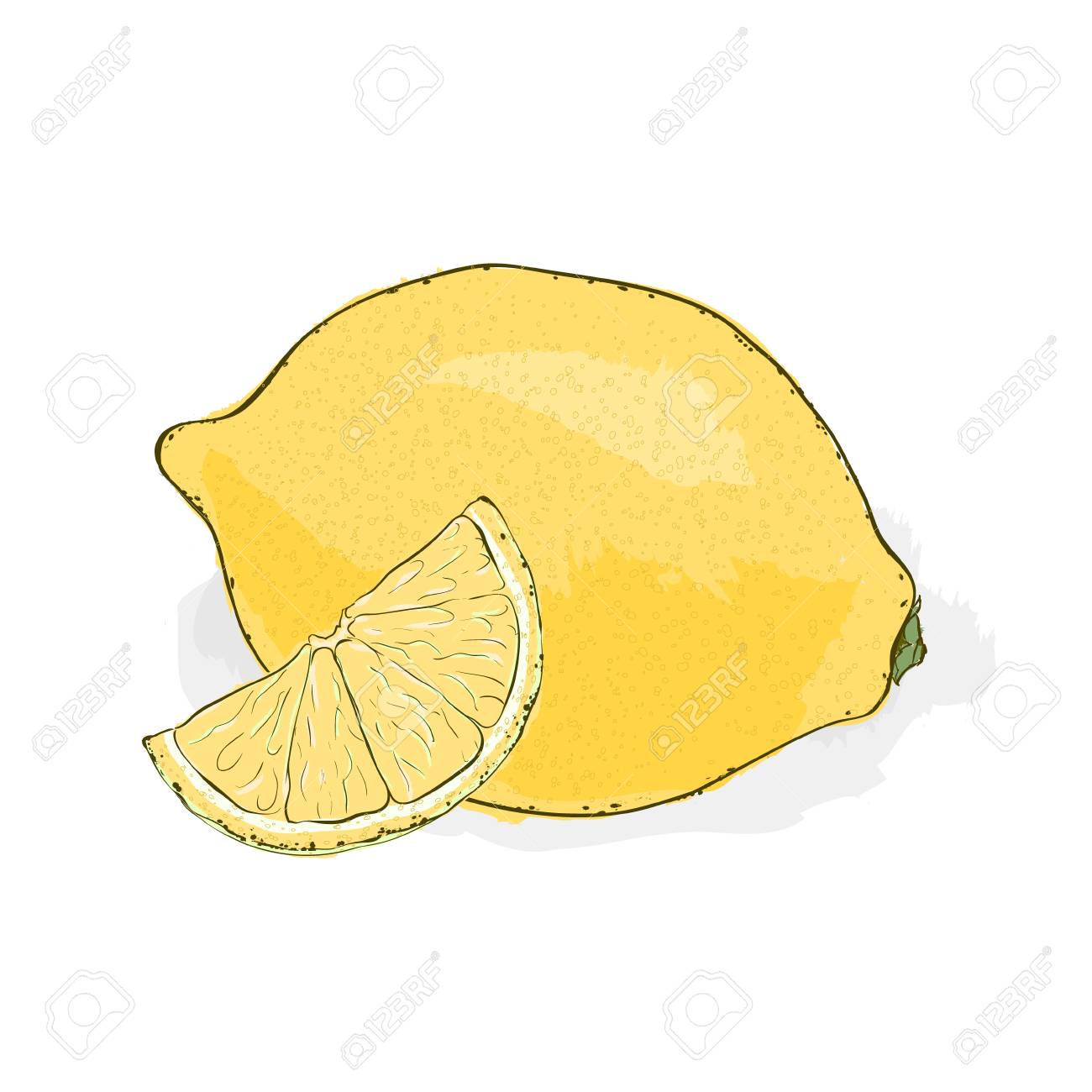 白地に黄色 酸味 ジューシーなレモン ベクトル イラスト のイラスト素材 ベクタ Image