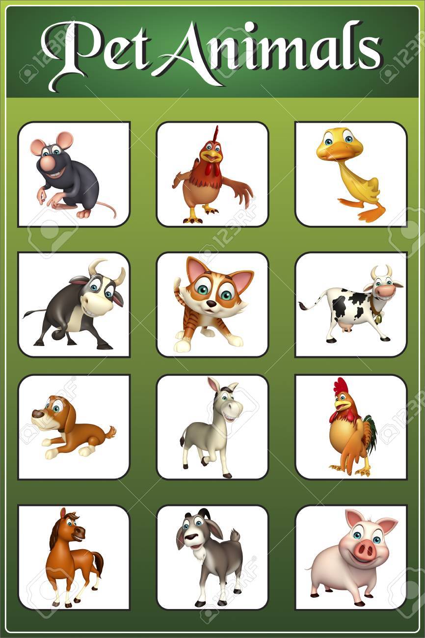 Pet Animals Images Chart