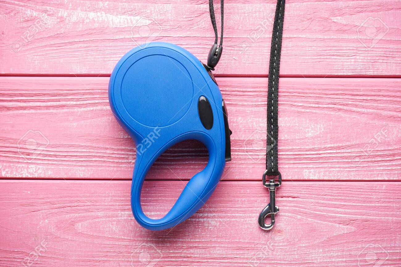 pink retractable dog leash