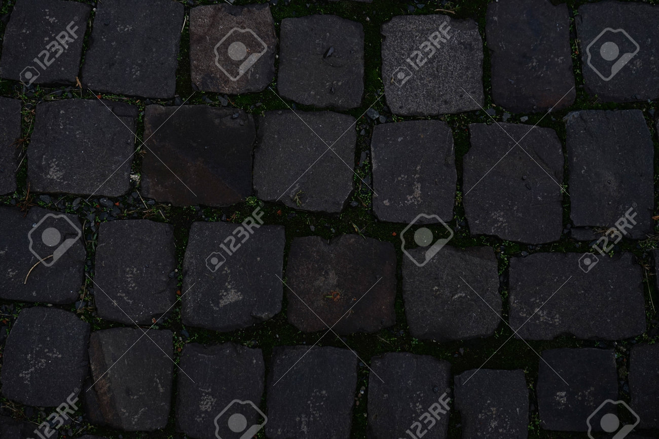 etiam-dictum-ipsum-a-felis