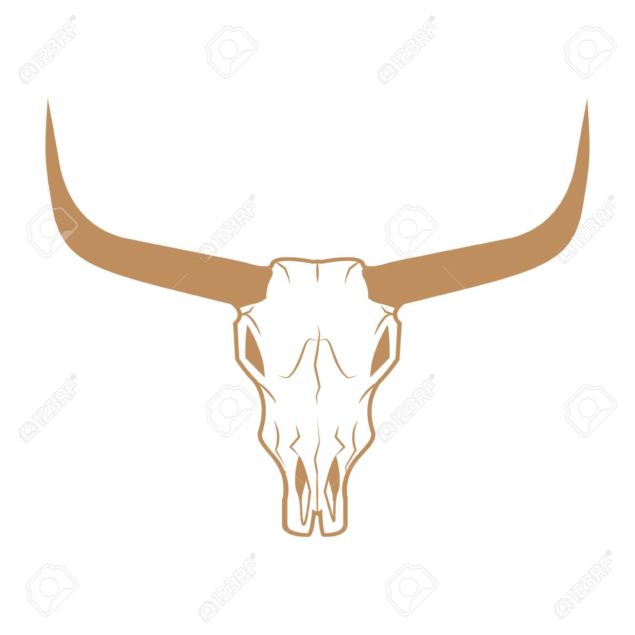 ⏱SALE！テキサスロングホーン 牛 角 バッファロー スカル アメリカン