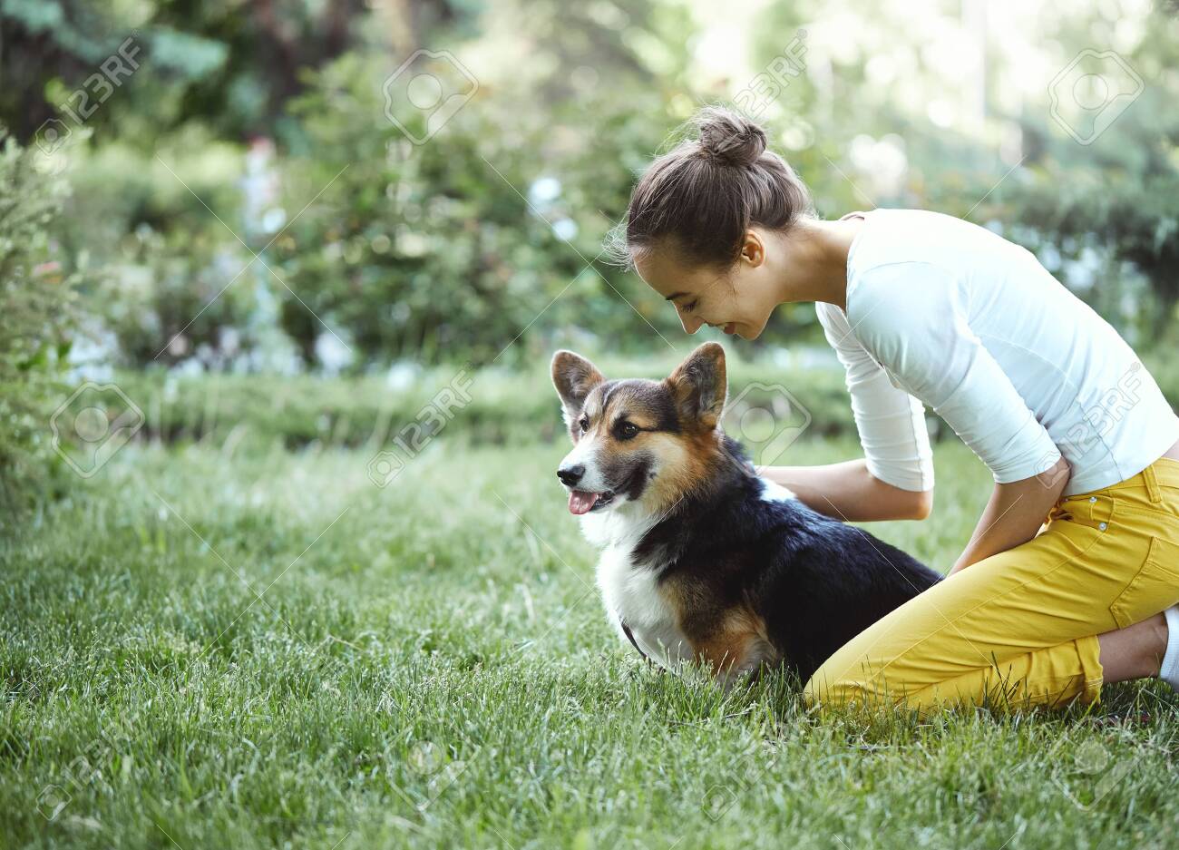 welsh corgi pembroke dog and smiling happy woman together in dog sitt