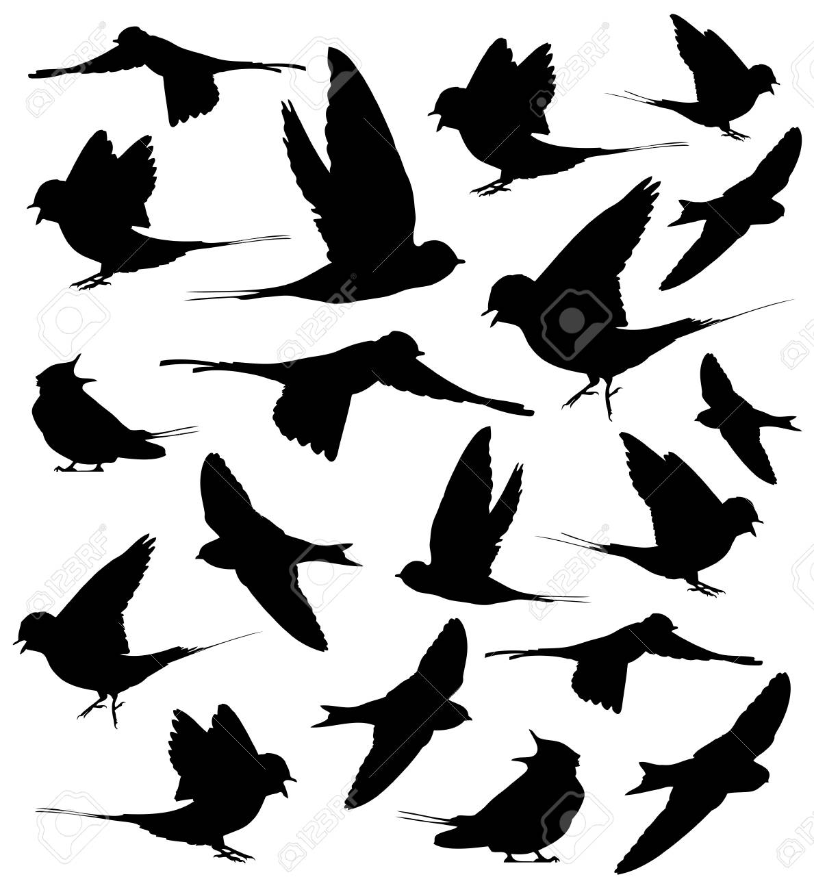 Barn Swallow Silhouettes Set In Vector. Royalty Free SVG, Cliparts,  Vectors, and Stock Illustration. Image 111567180., image size:1189x1300