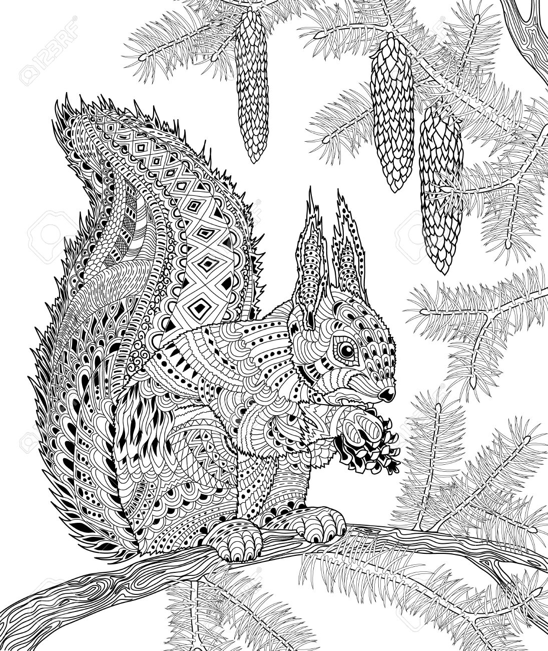 L écureuil pour anti stress adulte coloriage pour l art thérapie