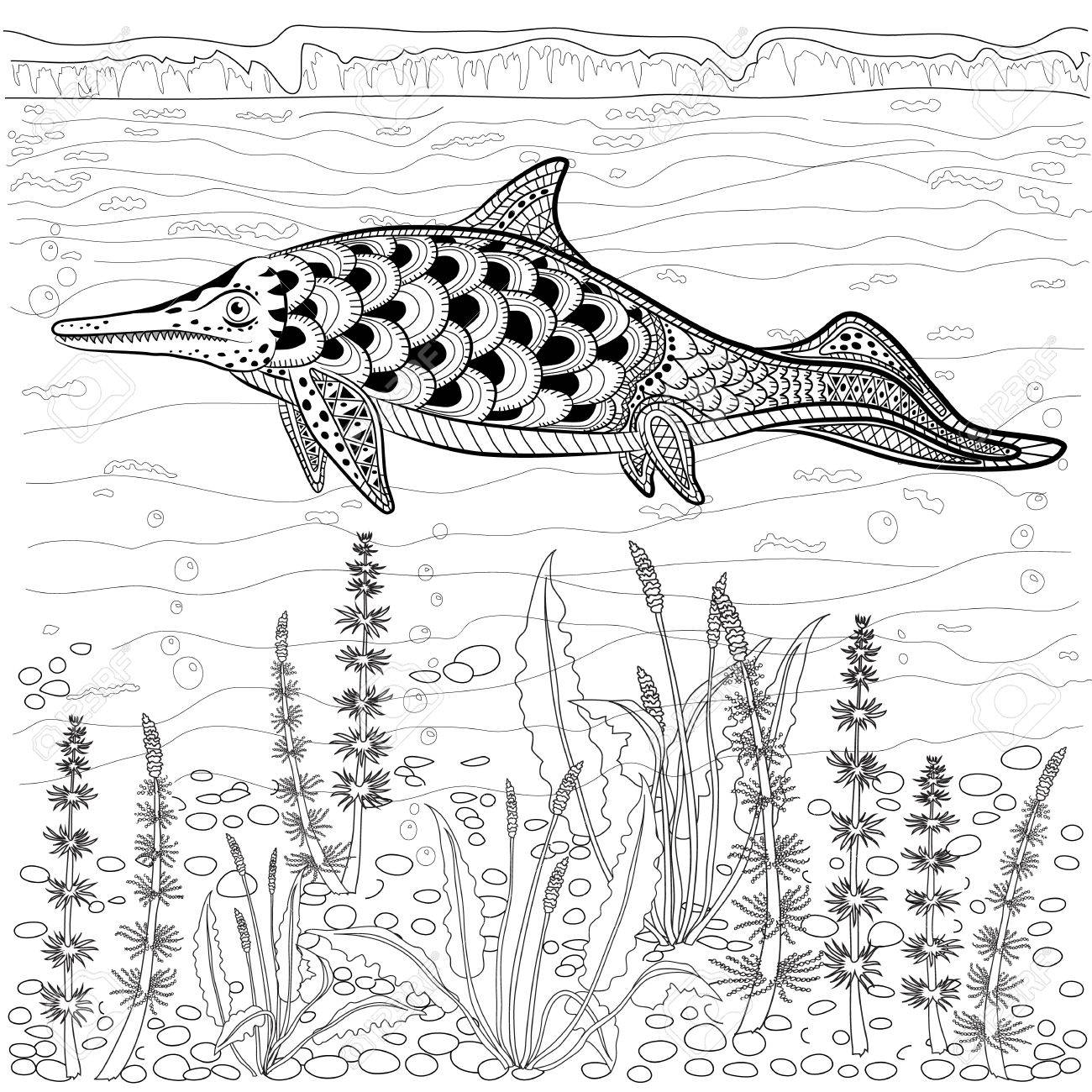 ベスト 塗り絵 魚 大人 印刷可能なカラー画像