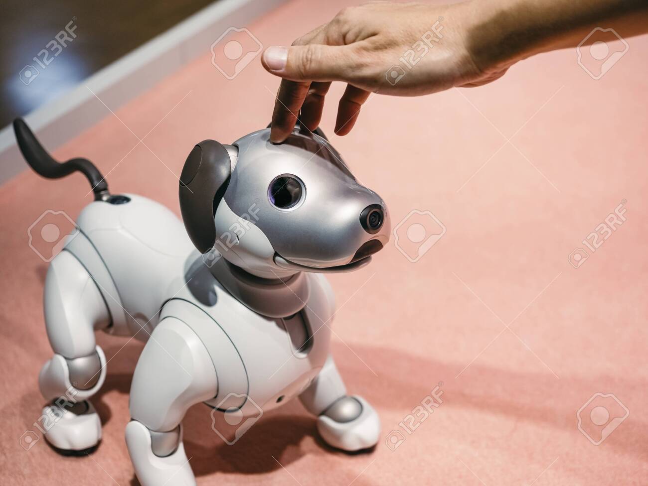 robot pets 2019