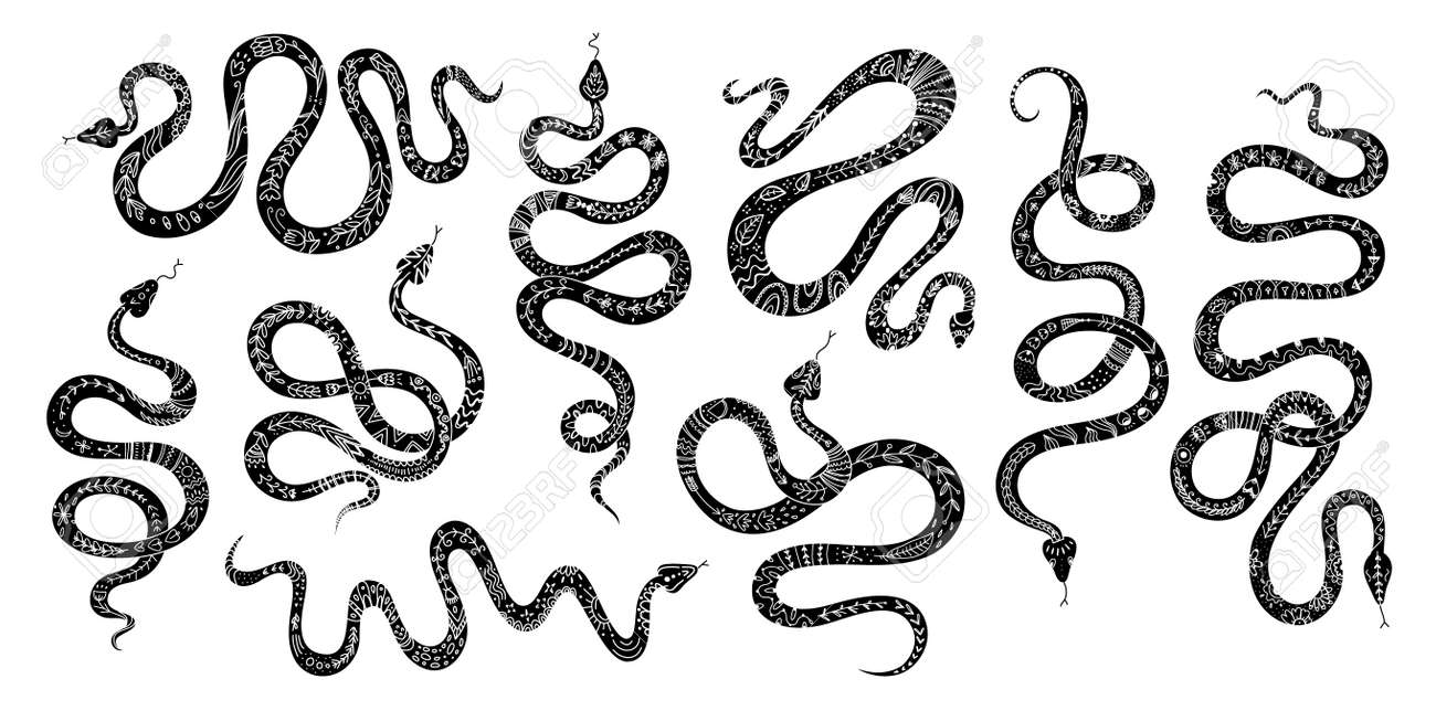 Vector set of snakes with ethnic ornament. Silhouettes of snakes with Scandinavian motives, totem animal snake graphic element for tattoo or sticker in black and white design. - 170385217 Vector set of snakes with ethnic ornament. Silhouettes of snakes with Scandinavian motives, totem animal snake graphic element for tattoo or sticker in black and white design. - 170385217