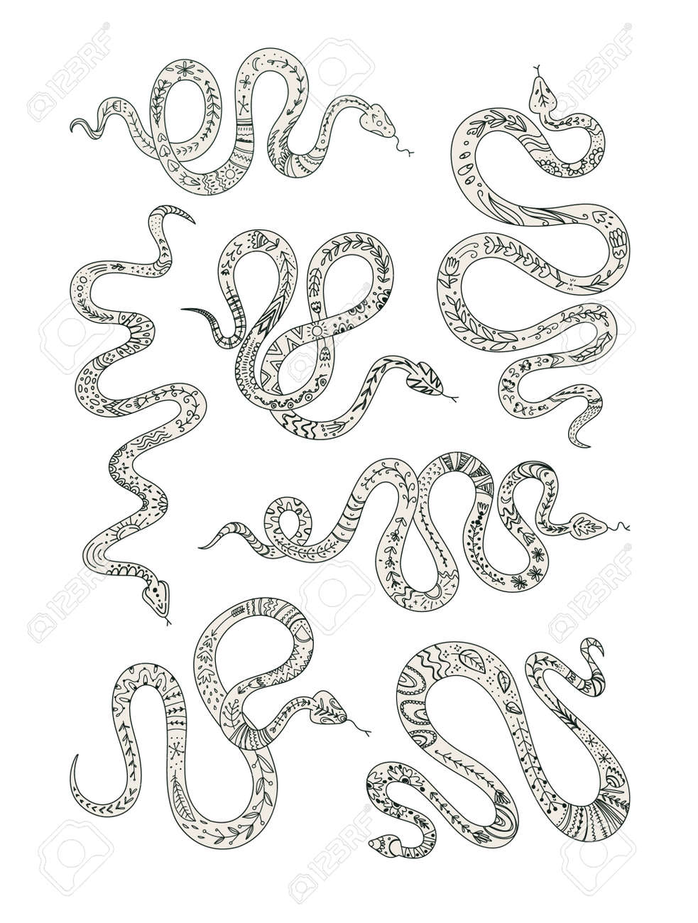 Vector set of snakes totem animal graphic elements for tattoo or sticker black and white design. - 170385236 Vector set of snakes totem animal graphic elements for tattoo or sticker black and white design. - 170385236