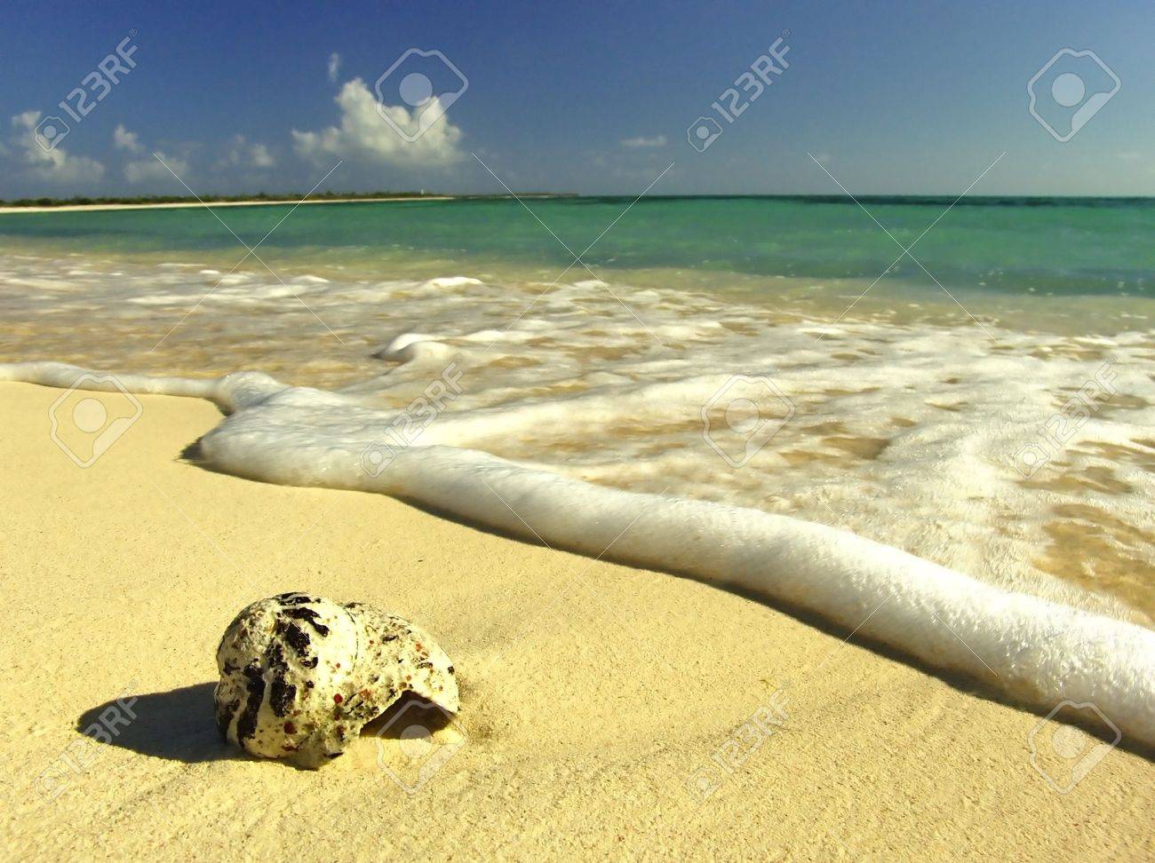 Idyllic virgin sand beach on Caribbean Sea, Mexico, Cozumel - 2676194 Idyllic virgin sand beach on Caribbean Sea, Mexico, Cozumel - 2676194