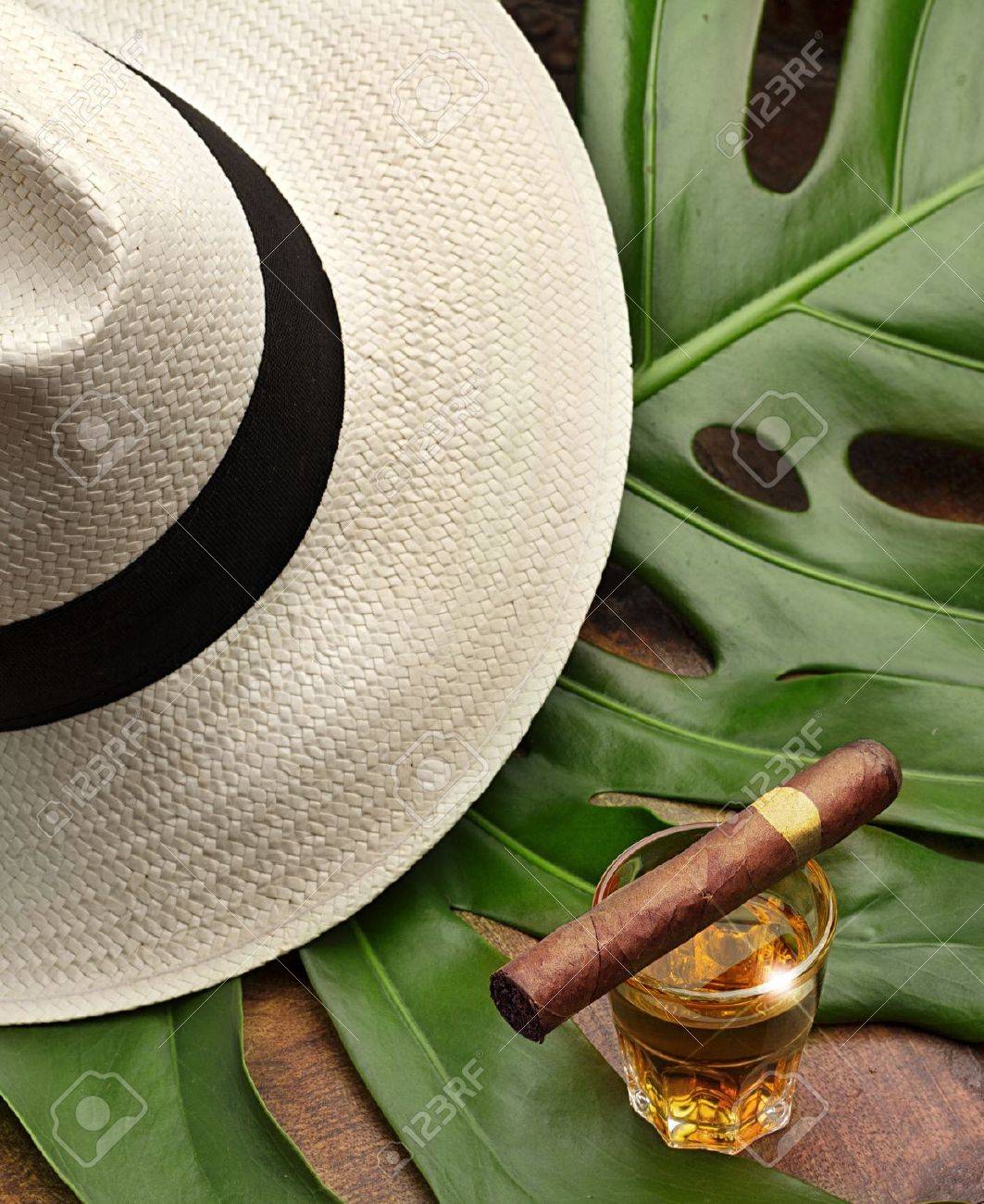 ラム酒 パナマと緑の葉のガラスで葉巻 の写真素材 画像素材 Image