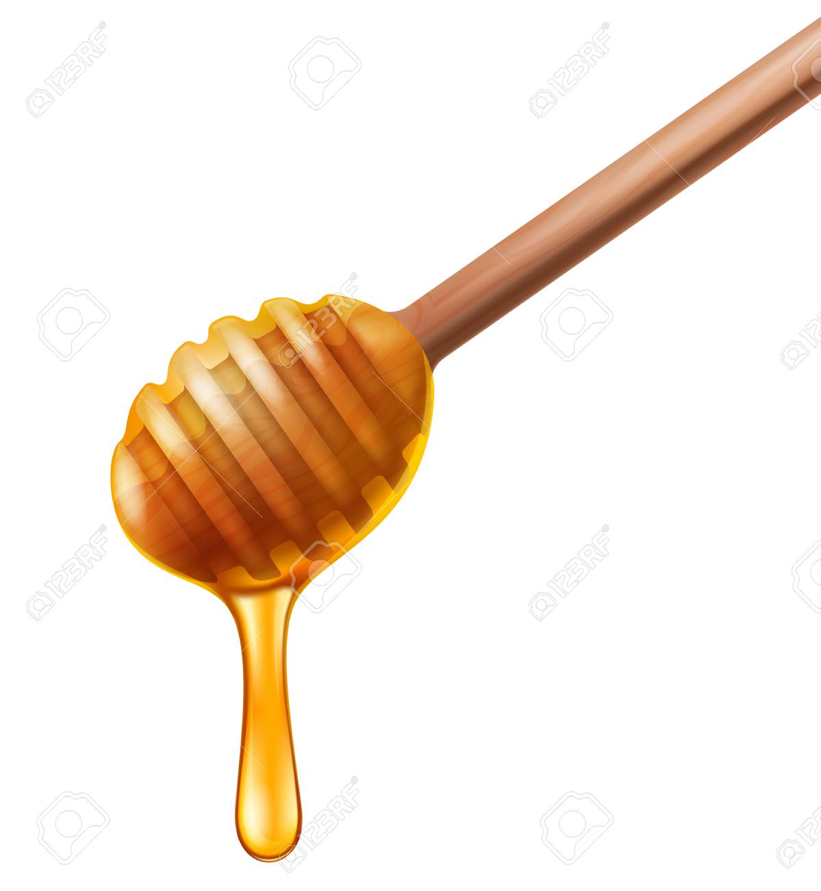 Hasil gambar untuk honey dipper