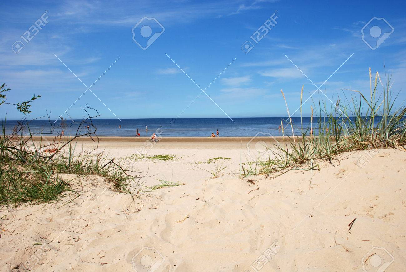 Dunes on a beach of Jürmala in Latvia - 1463377 Dunes on a beach of Jürmala in Latvia - 1463377