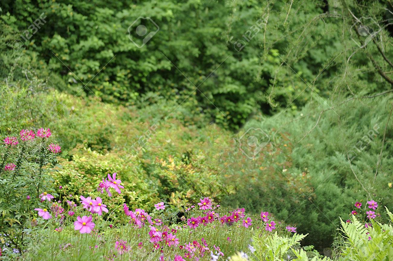 Green background for designers with flowers in the foreground. - 50957411 Green background for designers with flowers in the foreground. - 50957411