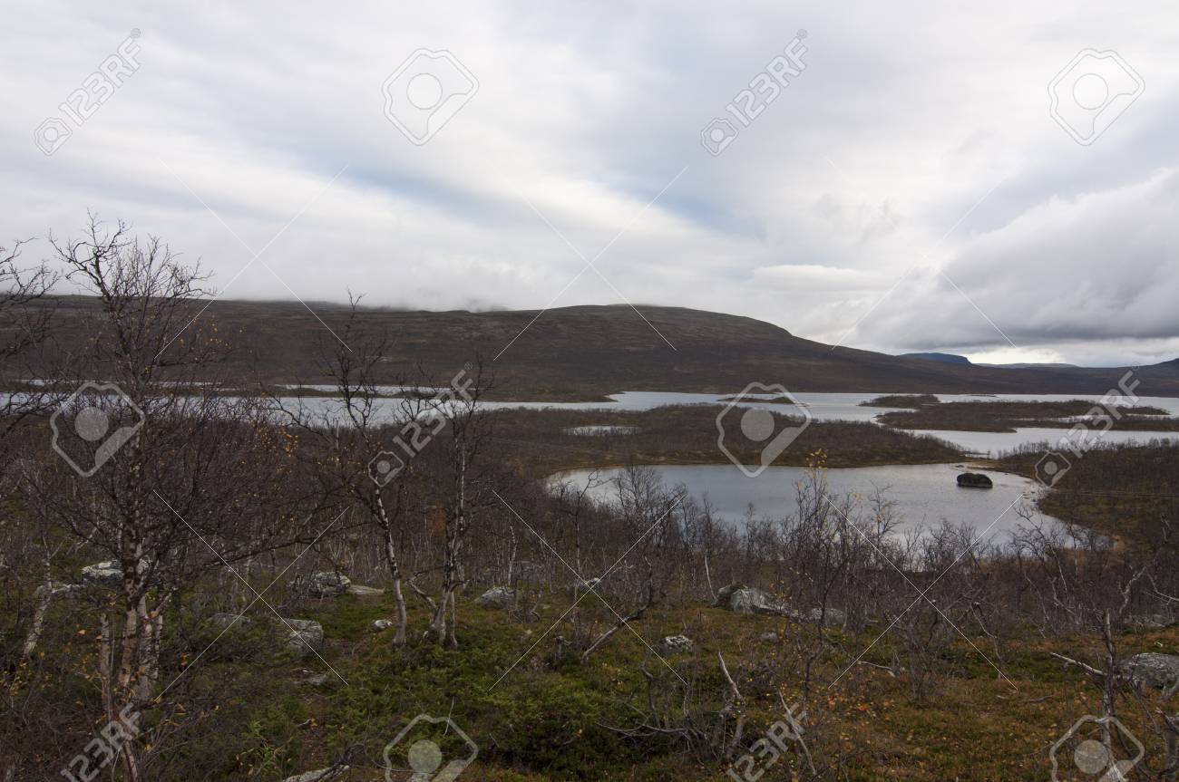Immagini Stock Tundra E Tipo Di Bioma In Cui La Crescita Degli Alberi E Ostacolato Da Basse Temperature E Brevi Stagioni Di Crescita Tundra Artica Si Verifica Nel Lontano Emisfero Settentrionale