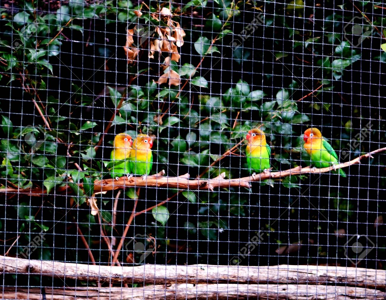 etiam-dictum-ipsum-a-felis