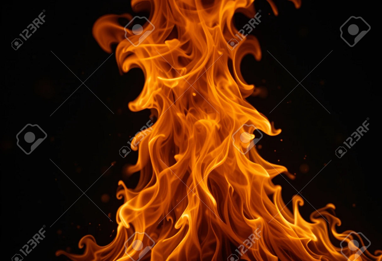 etiam-dictum-ipsum-a-felis